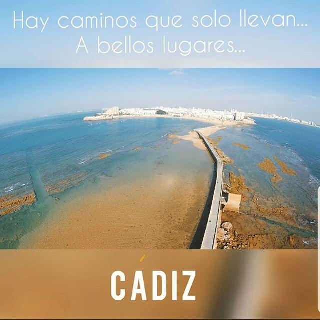 Sandee