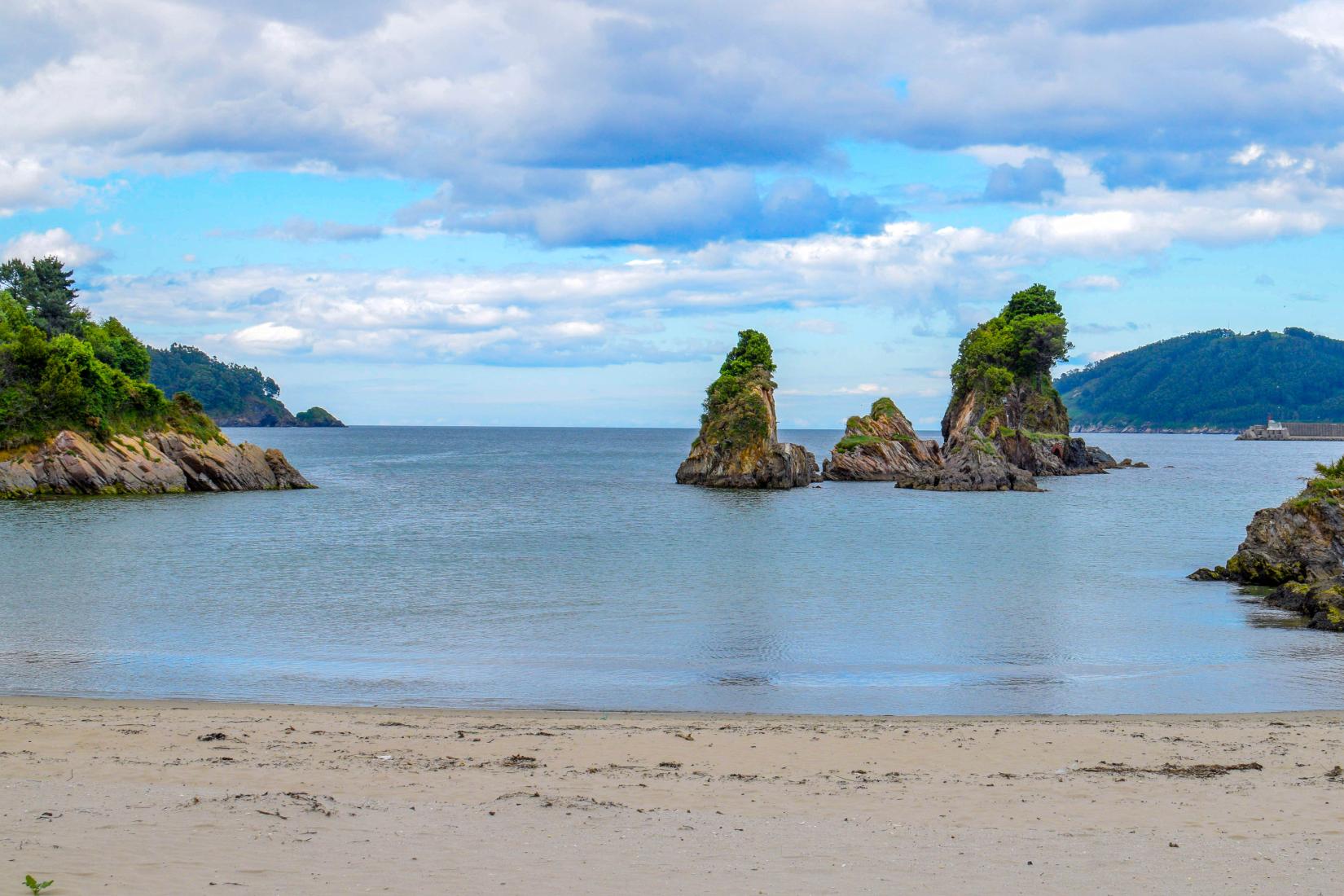 Sandee - HomePage / Viveiro