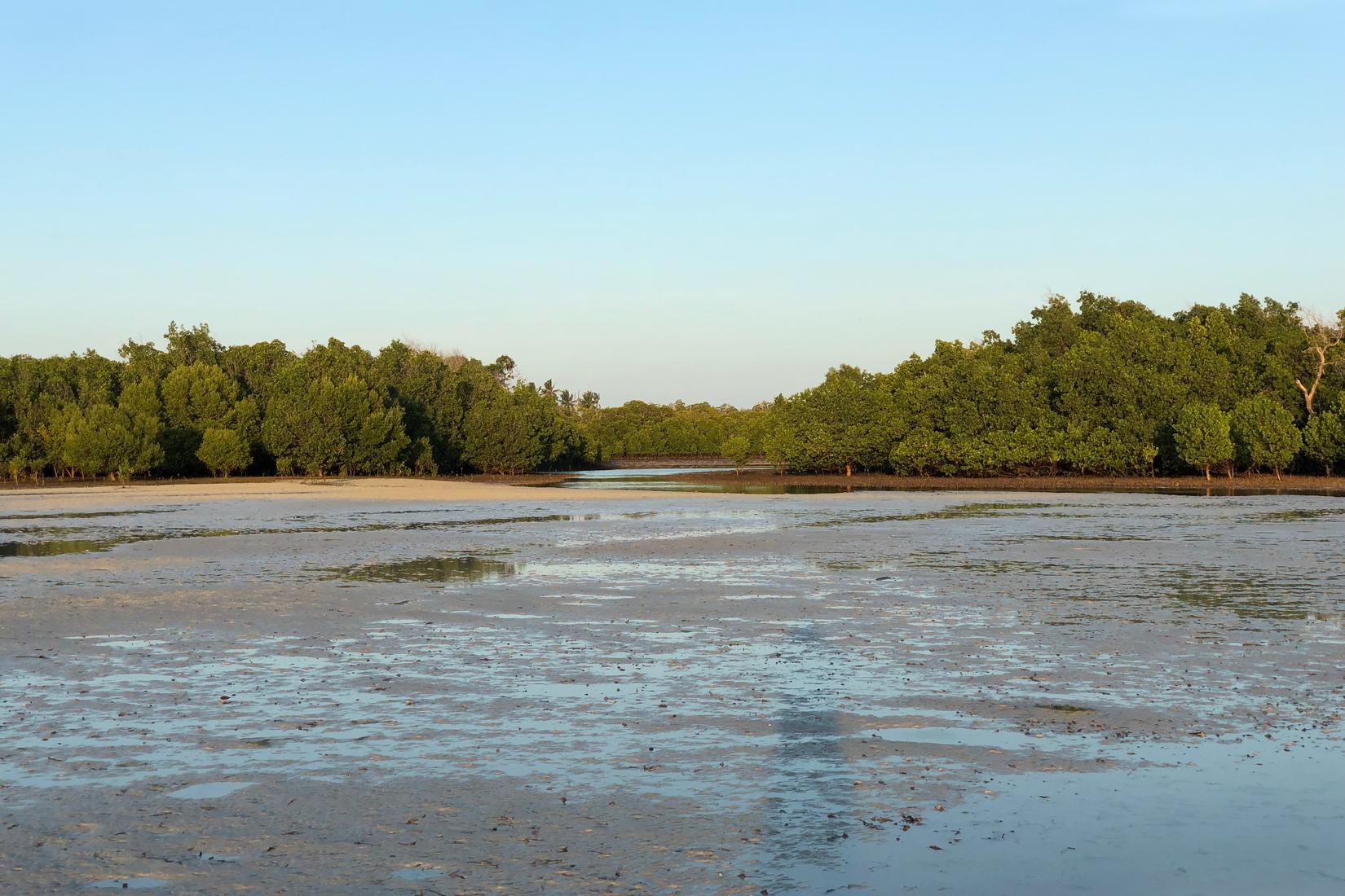 Sandee - HomePage / Watamu