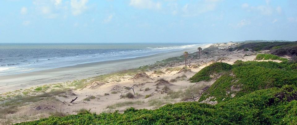 Sandee Cumberland Island
