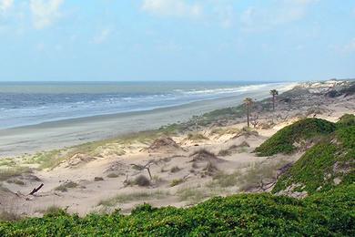 Sandee Cumberland Island