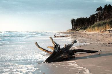 Sandee Ventspils Blue Flag Beach