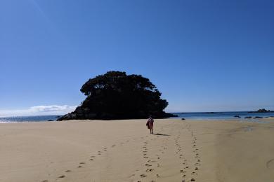 Sandee Mosquito Bay Beach