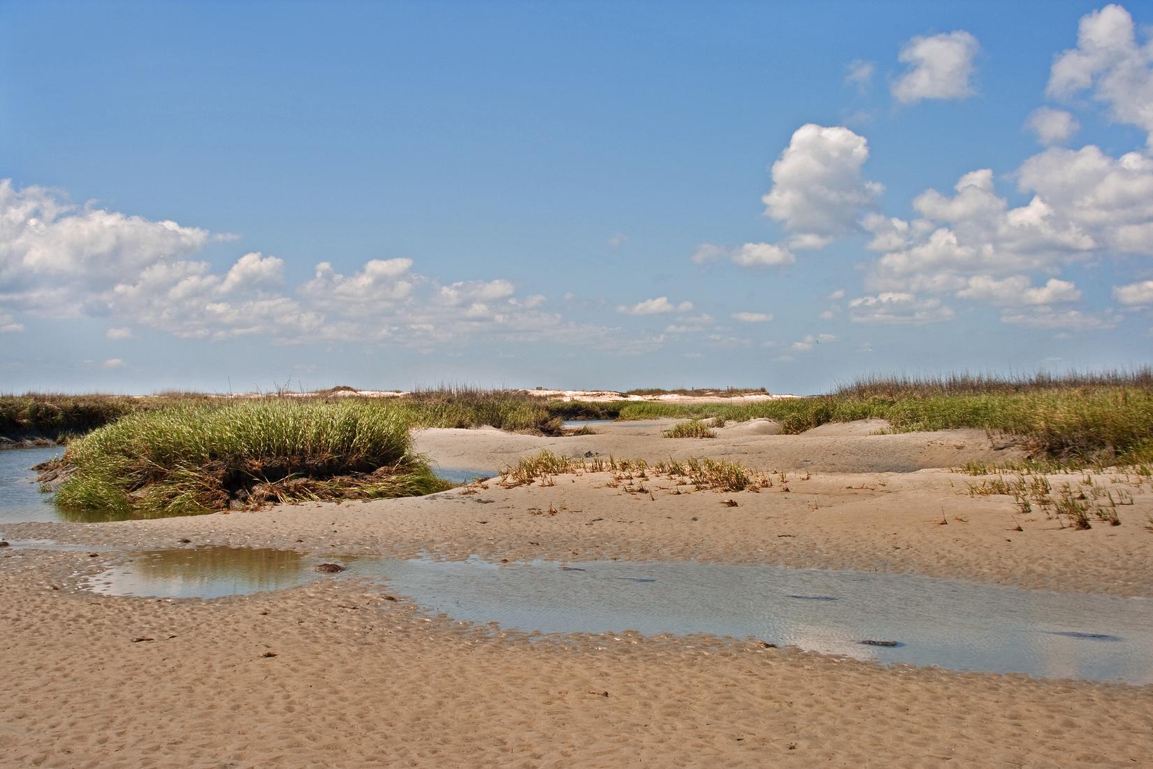 Sandee - HomePage / Wilmington Island
