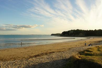 Sandee Army Bay Beach
