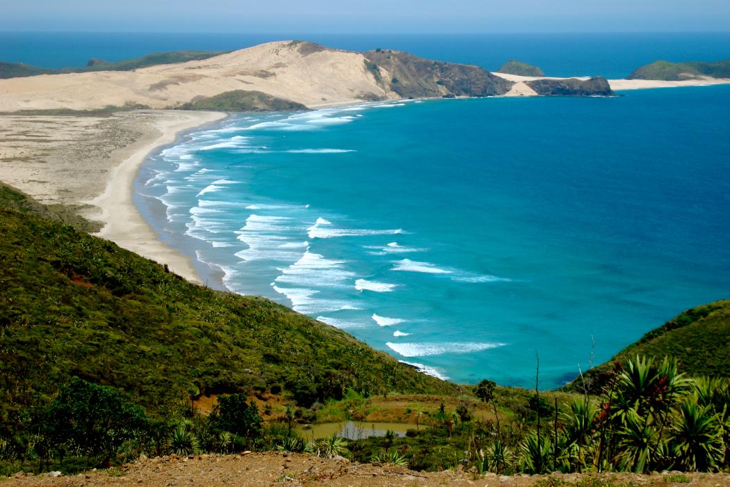 Sandee Cape Reinga
