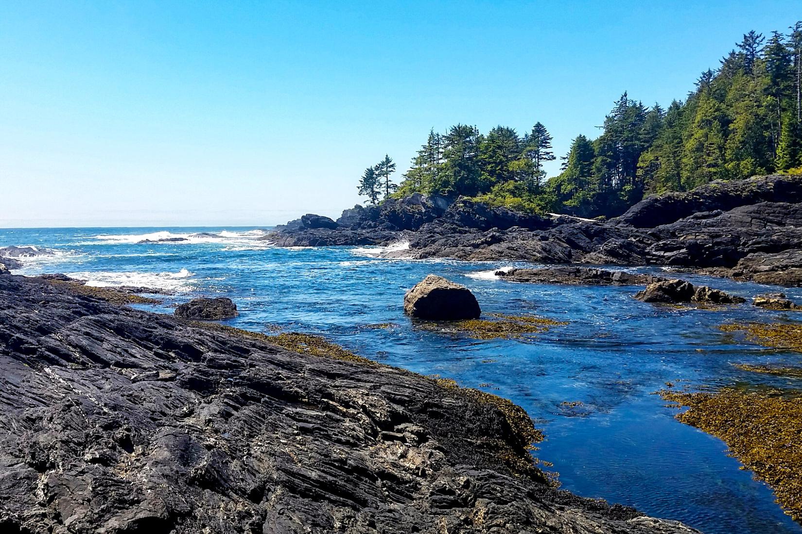 Sandee - HomePage / British Columbia