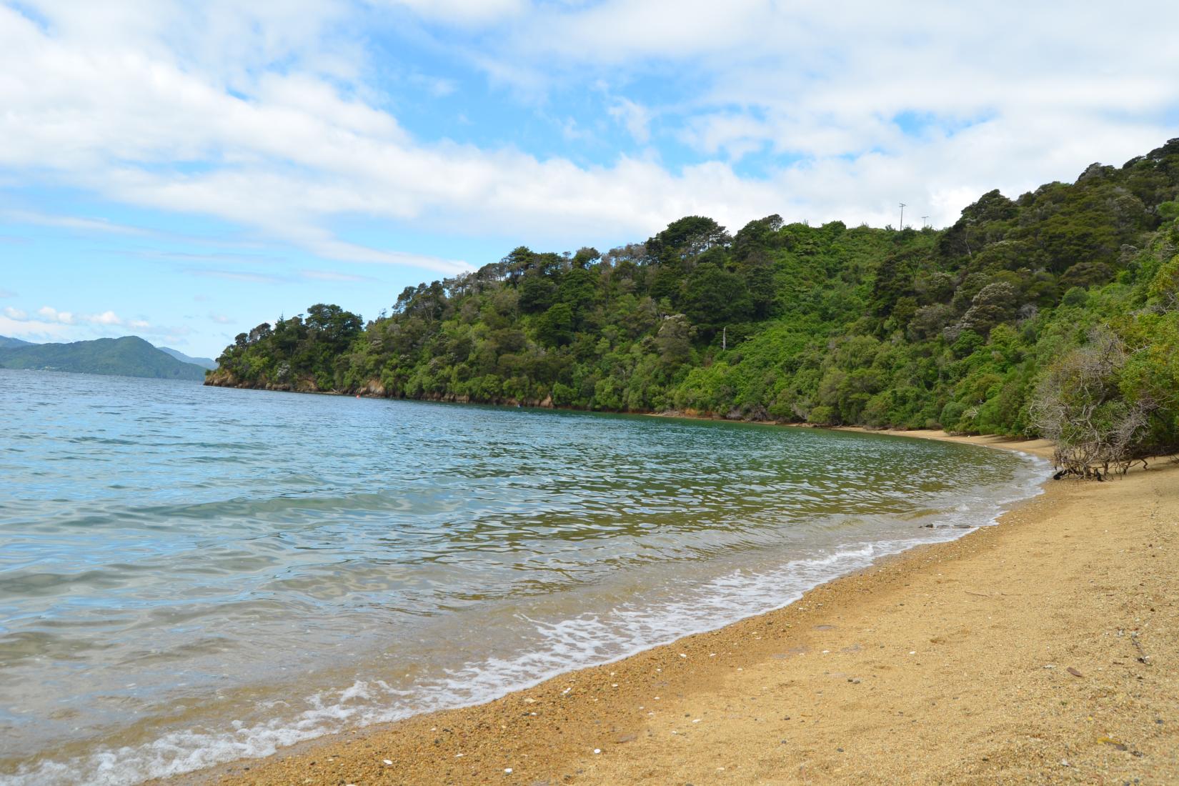 Sandee - HomePage / Ngakuta Bay