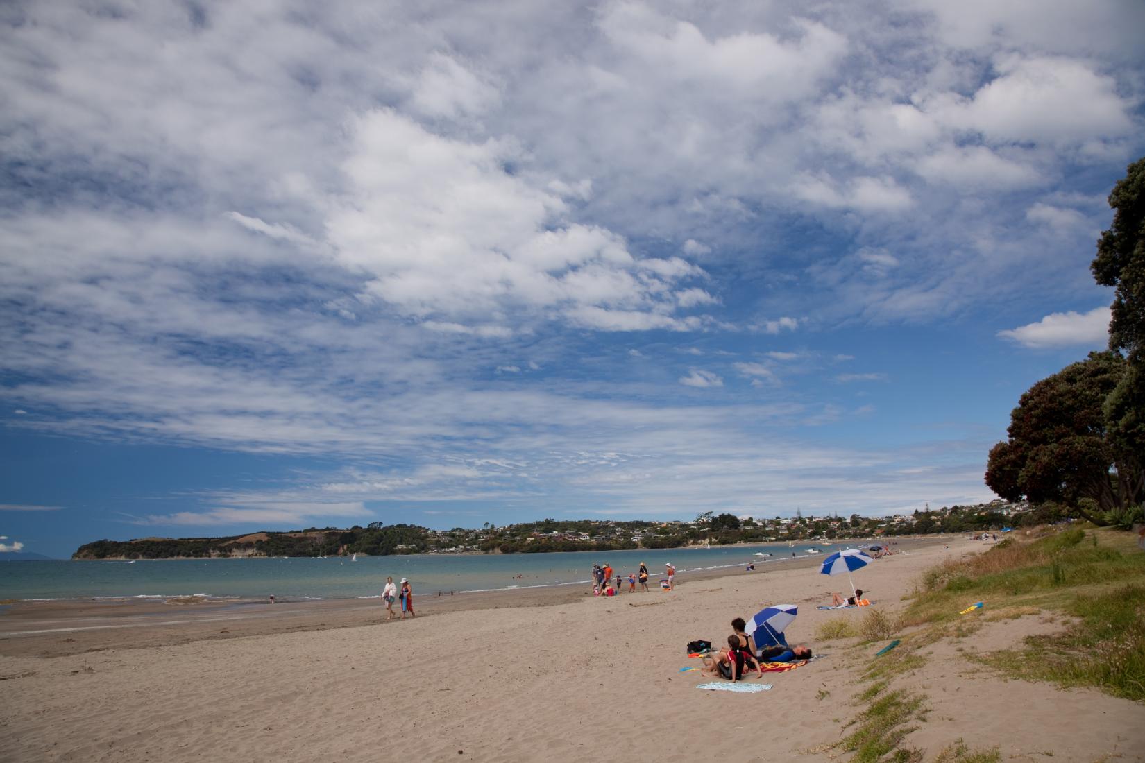 Sandee - HomePage / Hibiscus Coast