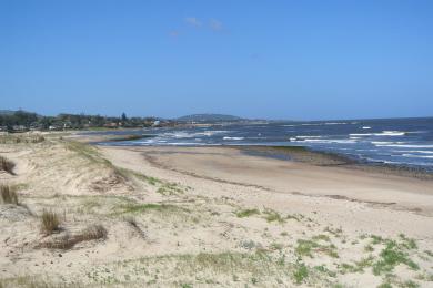 Sandee Playa Las Flores
