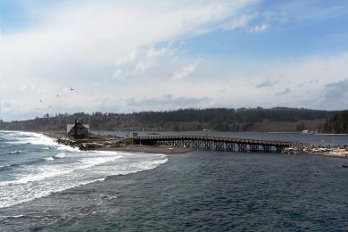 Sandee Esquimalt Lagoon
