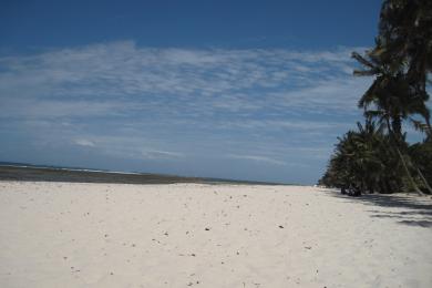 Sandee Tiwi Beach