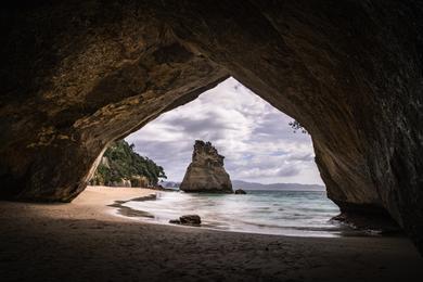 Sandee Te Whanganui-A-Hei Marine Reserve