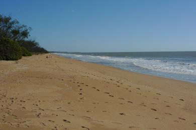 Sandee Moore Park Beach