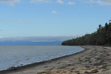 Sandee Wonga Beach
