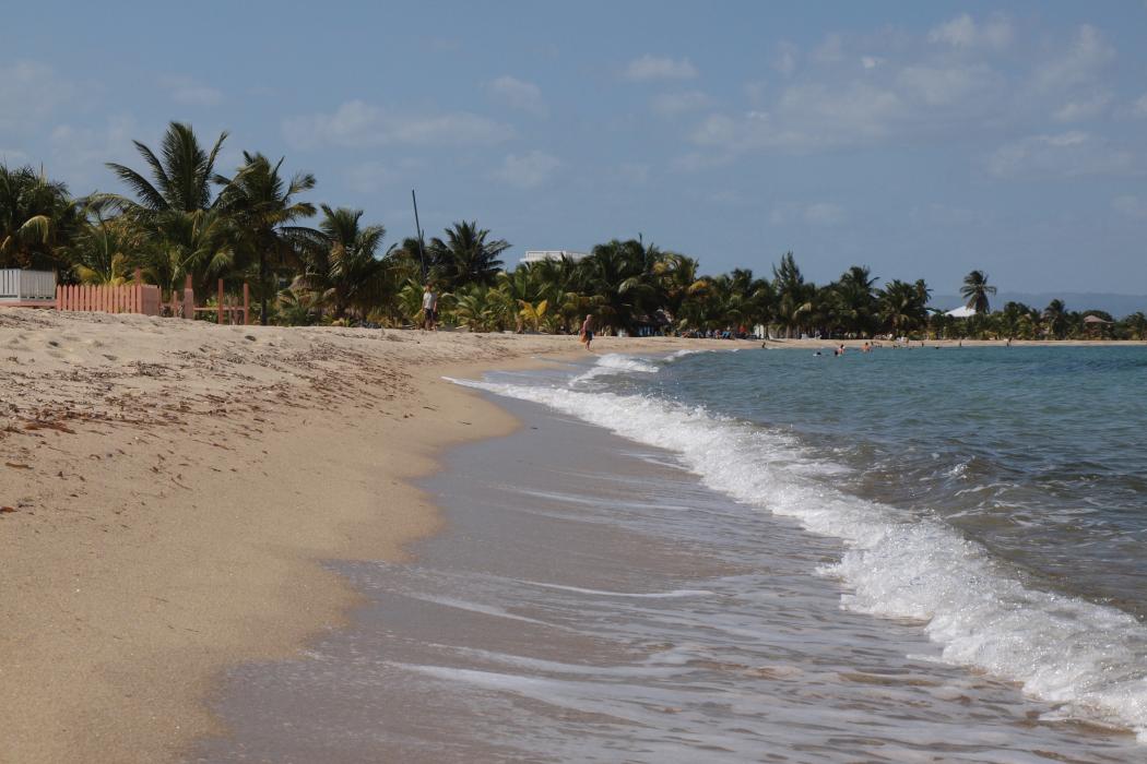 Sandee Placencia Beach