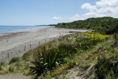 Sandee Whareroa Beach