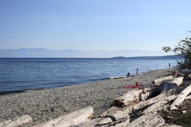 Sandee Witty's Beach