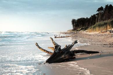 Sandee Staldzene Beach