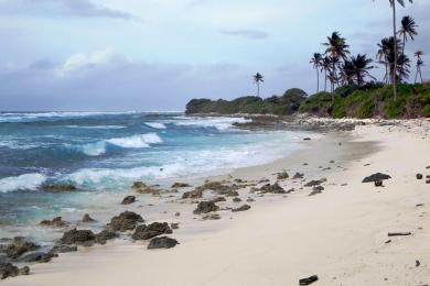 Sandee Home Island