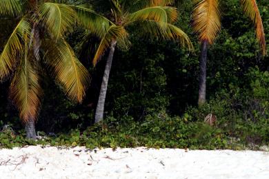 Sandee Sandy Cay