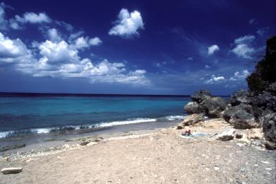Sandee Playa Shon Mosa
