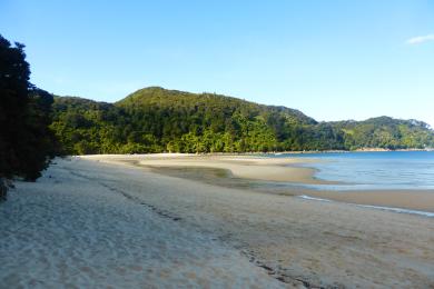 Sandee Bark Bay