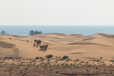 Sandee Darek Beach