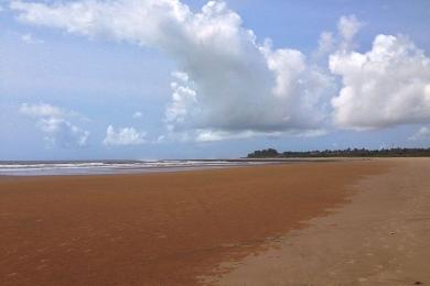 Sandee Mambrui Beach