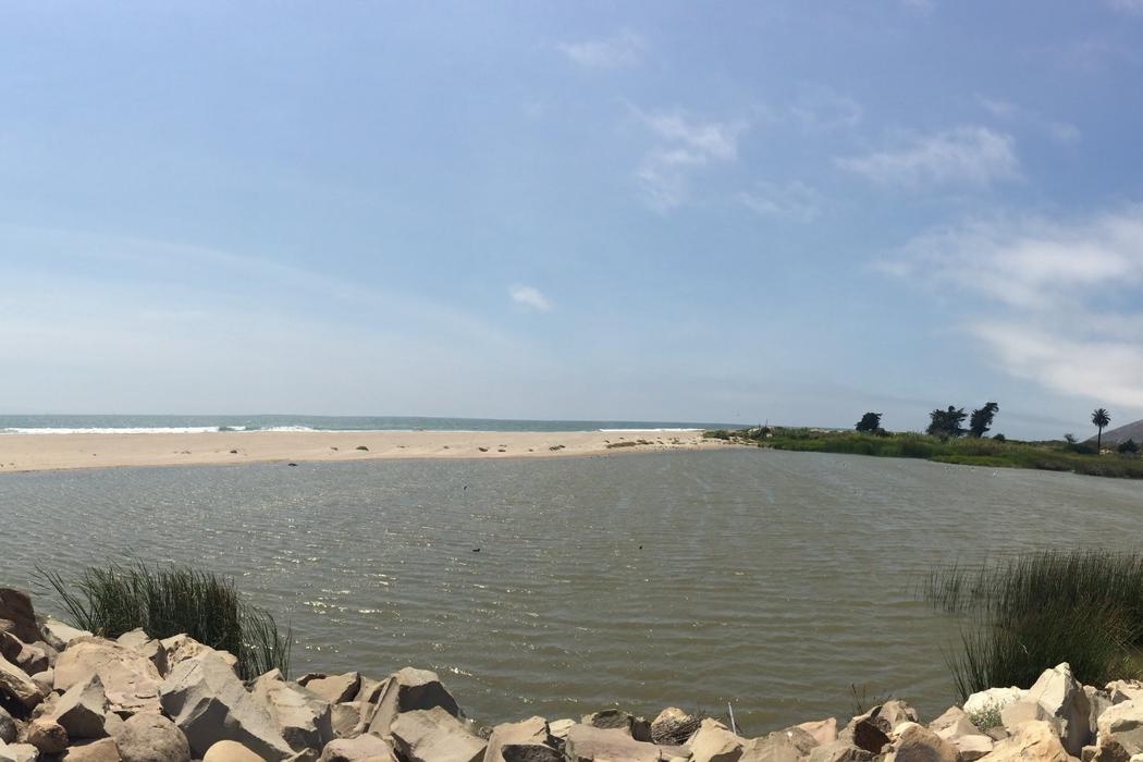 Sandee Emma Wood State Beach – North Beach