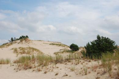 Sandee Slowinski National Park