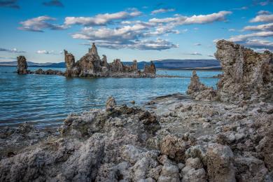 Sandee Mono Lake Tufa Stave Reserve