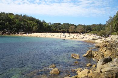 Sandee Shelly Beach