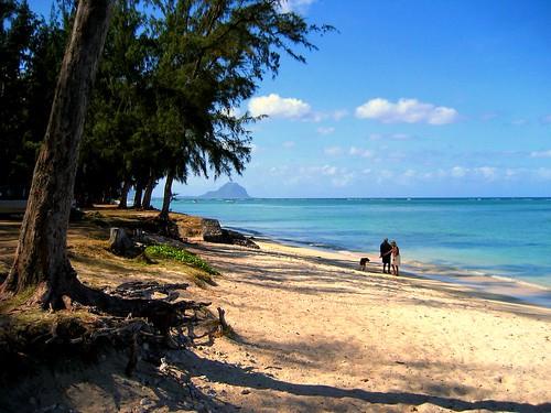 Sandee Wolmar Beach