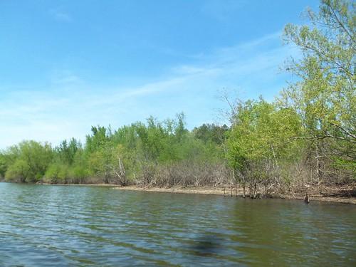 Sandee Lake Greeson