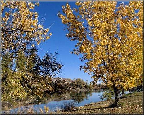 Sandee Lake Scott State Park