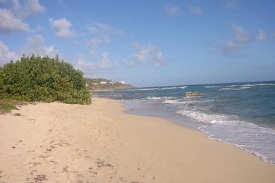 Sandee Grapetree Beach