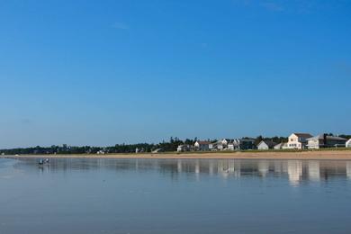 Sandee Kinney Shores