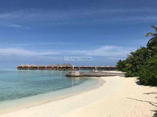 Sandee Baros Maldives Beach