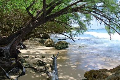 Sandee Maycocks Bay