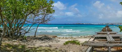 Sandee Carlisle Bay