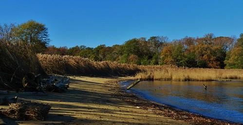 Sandee Sandy Beach River Access