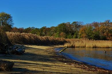 Sandee Sandy Beach River Access