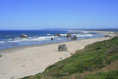 Sandee Forestry Beach