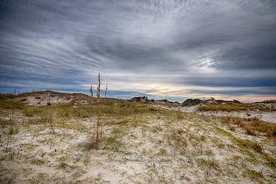 Sandee Bare Sand Beach