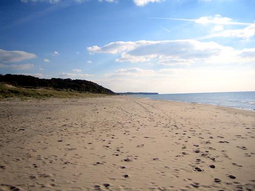 Sandee Saugatuck Dunes State Park