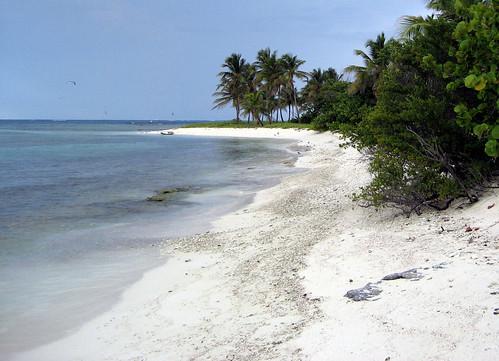 Sandee Petit Tabac Beach