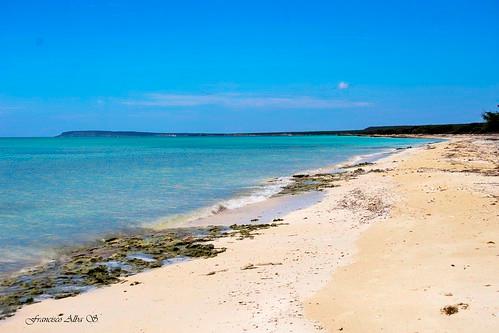Sandee - HomePage / Pedernales