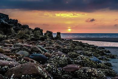 Sandee Baishatun Beach