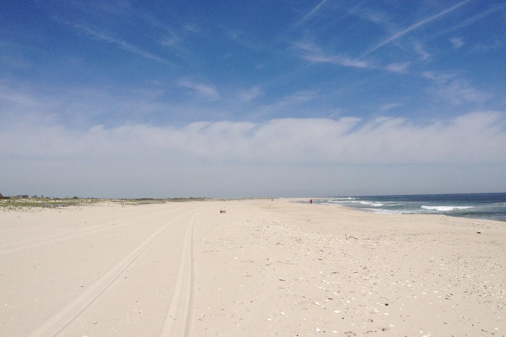 Sandee - HomePage / Beach Haven
